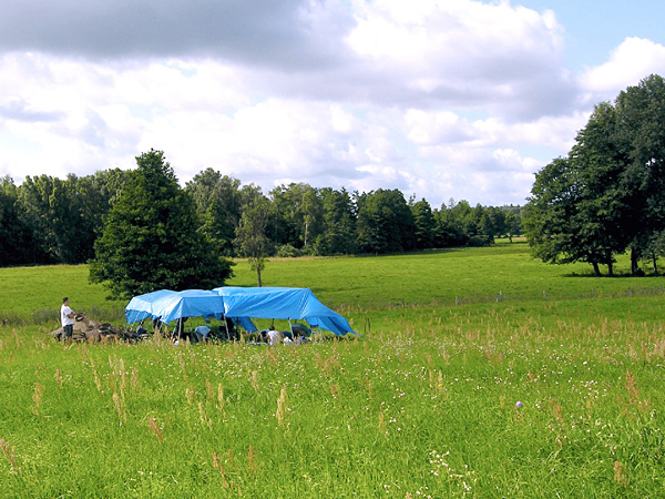 A vast meadow surrounded by trees. In the middle, a group of people work under a makeshift roof made of blue tarpaulin