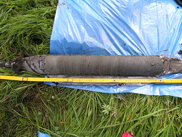 A cylinder of gray sediment lying on a blue plastic bag spread out on the grass. A measuring tape is unrolled along it