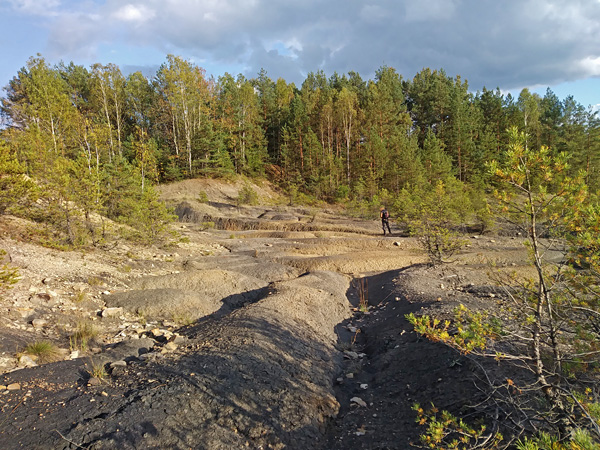 A vast area of ​​stony soil, very undulating and devoid of vegetation. In the background a wall of trees